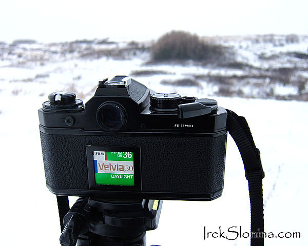 Nikon FE and Fuji Velvia50